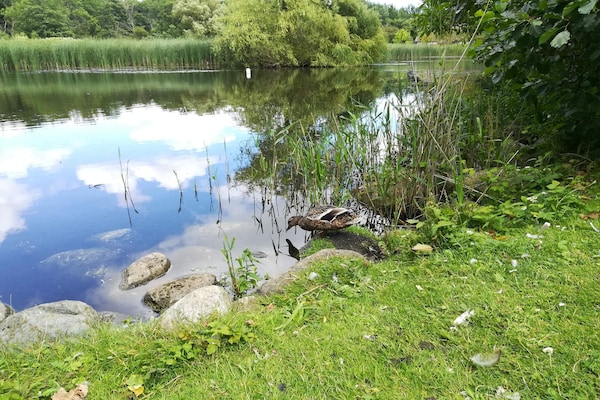 Foto van 6 persoons vakantie huis in Væggerløse-By Traum - Vakantiehuis in Væggerløse - WaterView