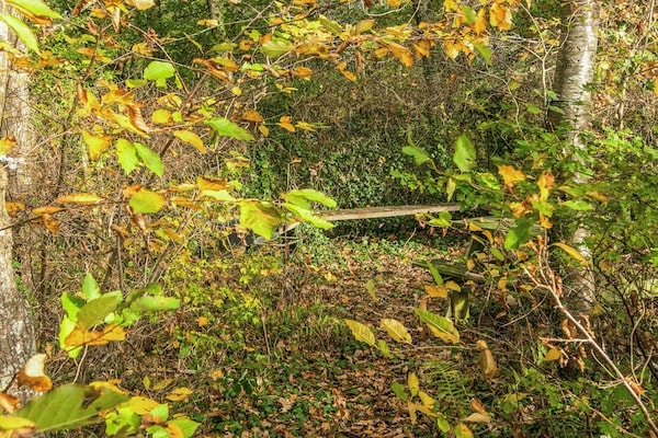 Foto van 6 persoons vakantie huis in Knebel-By Traum - Vakantiehuis in Knebel - View