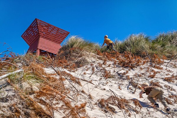 Foto van 4 persoons vakantie huis op een vakantie park in Blokhus - Outdoor