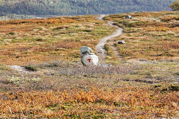 Foto van 6 persoons vakantie huis in Rennebu-By Traum - Vakantiehuis in Rennebu - Untagged
