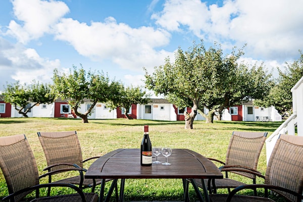 Foto van 6 persoons vakantie huis in Allinge - Vakantiehuis in Allinge - Outdoor