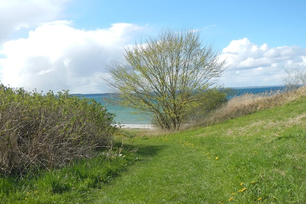 Foto van 6 persoons vakantie huis in Brenderup Fyn-By Traum - Untagged