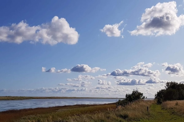 Foto van 6 persoons vakantie huis in Hals-By Traum - Vakantiehuis in Hals - WaterView