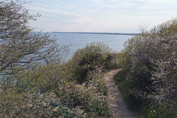 Foto van 8 persoons vakantie huis in Ebeltoft-By Traum - Vakantiehuis in Ebeltoft - WaterView