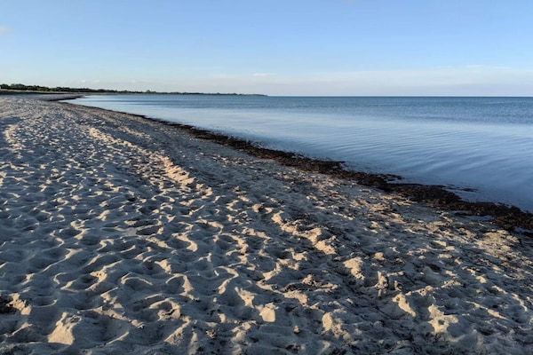 Foto van 14 persoons vakantie huis in Væggerløse-By Traum - WaterView