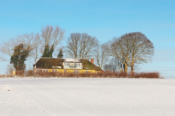 Foto van 14 persoons vakantie huis in Havndal-By Traum - Vakantiehuis in Havndal - Outdoor