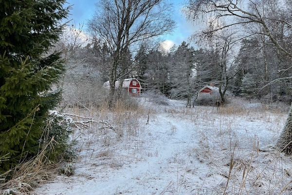 Foto van 6 persoons vakantie huis in JÄRNA-By Traum - Vakantiehuis in JÄRNA - Outdoor