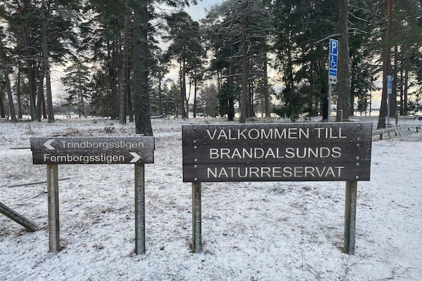 Foto van 6 persoons vakantie huis in JÄRNA-By Traum - Vakantiehuis in JÄRNA - Untagged