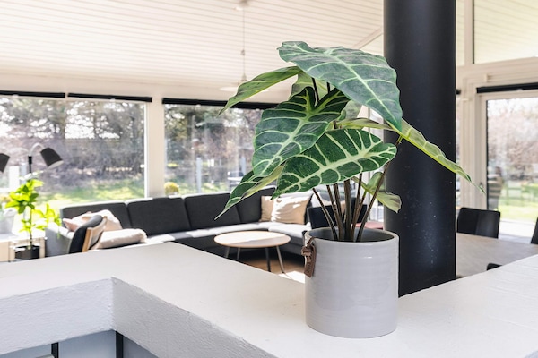 Foto van Luxe retraite in Lonstrup -- By Traum Ferienwohnungen - Indoor