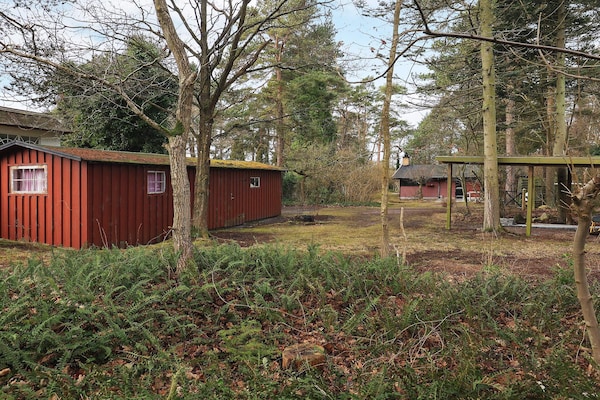 Foto van 6 persoons vakantie huis in Væggerløse-By Traum - Vakantiehuis in Væggerløse - View
