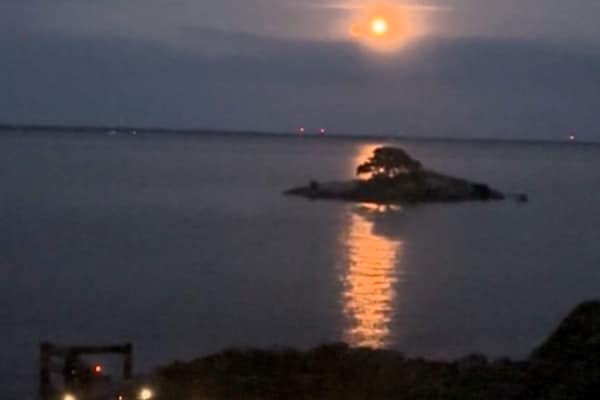 Foto van 8 persoons vakantie huis in BRÅLANDA-By Traum - Vakantiehuis in BRÅLANDA - Outdoor