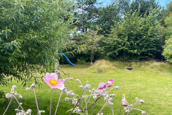 Foto van 6 persoons vakantie huis in Græsted-By Traum - Vakantiehuis in Græsted - Outdoor