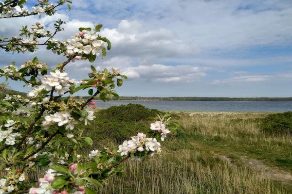 Foto van 6 persoons vakantie huis in Rønde-By Traum - Vakantiehuis in Rønde - WaterView