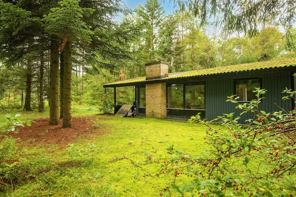 Foto van 6 persoons vakantie huis in Ans By-By Traum - Vakantiehuis in Ans By - View