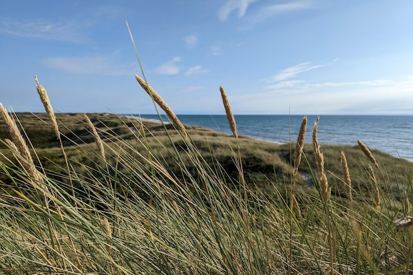 Foto van Charmant dorpsverblijf - Vakantiehuis in Ulfborg - Outdoor