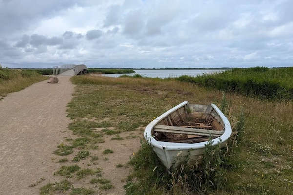 Foto van 4 persoons vakantie huis in Ringkøbing-By Traum - Vakantiehuis in Ringkøbing - WaterView