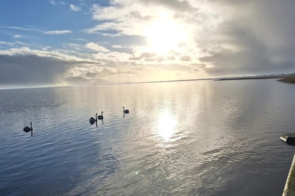 Foto van 4 persoons vakantie huis in Ringkøbing-By Traum - Vakantiehuis in Ringkøbing - WaterView