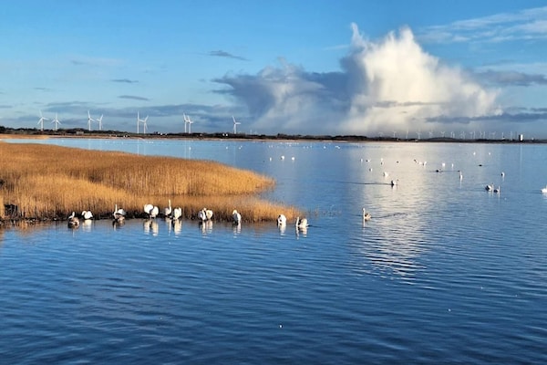 Foto van 4 persoons vakantie huis in Ringkøbing-By Traum - Vakantiehuis in Ringkøbing - WaterView
