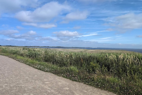 Foto van 4 persoons vakantie huis in Ringkøbing-By Traum - Vakantiehuis in Ringkøbing - WaterView