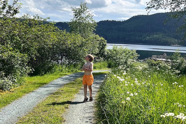 Foto van 6 persoons vakantie huis in Åsenfjord-By Traum - Vakantiehuis in Åsenfjord - Untagged