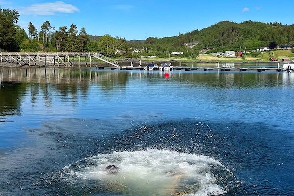 Foto van 6 persoons vakantie huis in Åsenfjord-By Traum - Vakantiehuis in Åsenfjord - Untagged