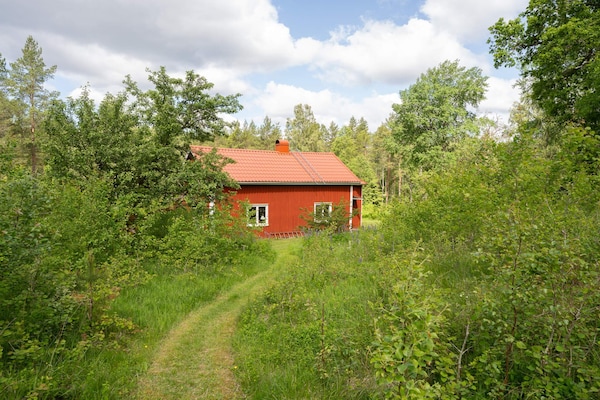 Foto van 6 persoons vakantie huis in SANDHULT-By Traum - Vakantiehuis in SANDHULT - Outdoor