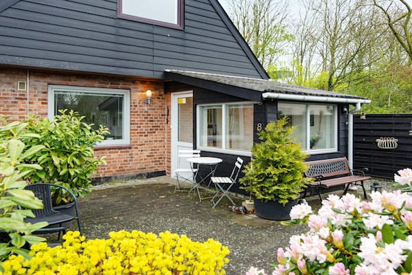 Foto van 6 persoons vakantie huis in Skærbæk-By Traum - Vakantiehuis in Skærbæk - Outdoor