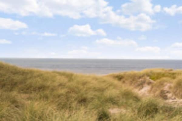 Foto van 7 persoons vakantie huis in Ulfborg-By Traum - Vakantiehuis in Ulfborg - View