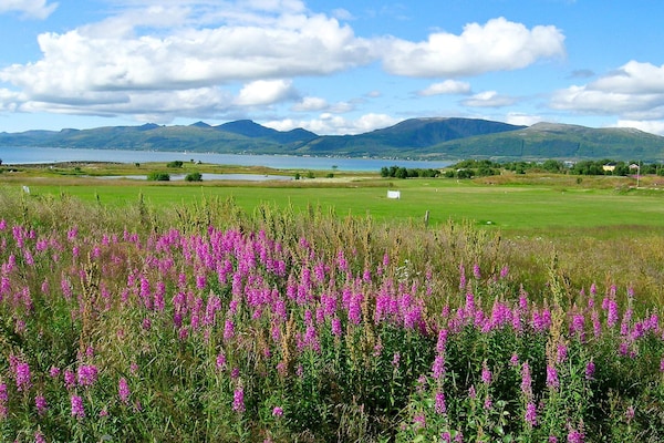Foto van 7 persoons vakantie huis in SORTLAND-By Traum - Vakantiehuis in Sortland - Outdoor