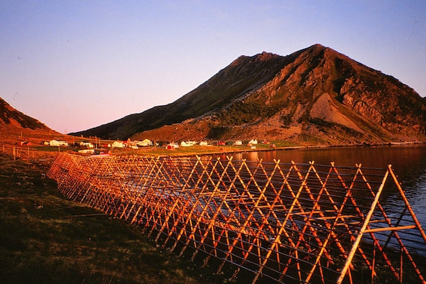 Foto van 7 persoons vakantie huis in SORTLAND-By Traum - Vakantiehuis in Sortland - Untagged