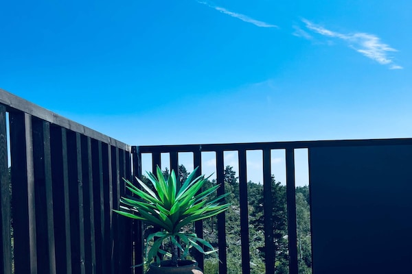 Foto van 6 persoons vakantie huis in Søndeled-By Traum - Vakantiehuis in Søndeled - Outdoor