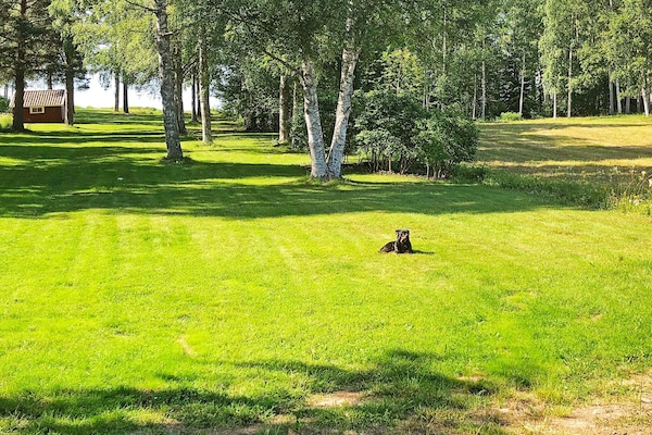 Foto van Licht huis in Rattvik, 6 gasten - Vakantiehuis in RÄTTVIK - Untagged
