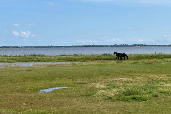 Foto van 6-persoonshuis in Ærøskøbing-By - Vakantiehuis in Ærøskøbing - WaterView