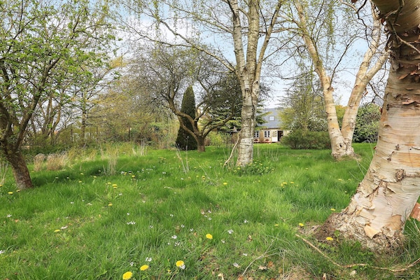 Foto van 6-persoonshuis in Ærøskøbing-By - Vakantiehuis in Ærøskøbing - View