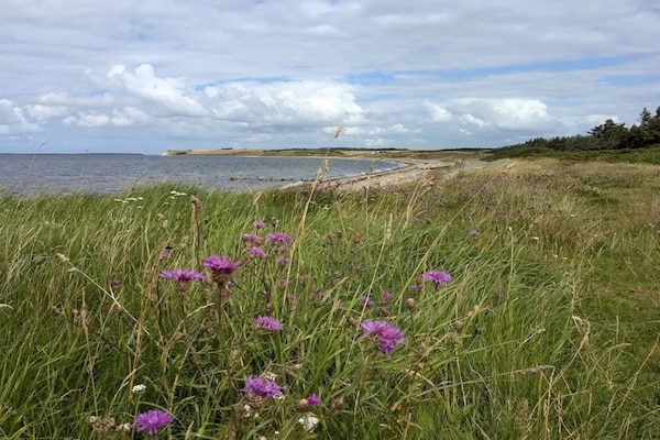 Foto van Gezellig vakantiehuis nabij Limfjorden - Vakantiehuis in Nykøbing M - Untagged