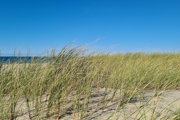 Foto van 12 persoons vakantie huis in Pandrup-By Traum - Vakantiehuis in Pandrup - WaterView