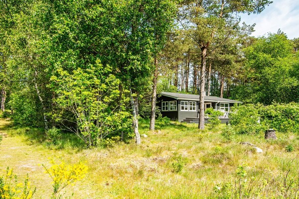 Foto van 6 persoons vakantie huis in Bording-By Traum - Vakantiehuis in Bording - Outdoor