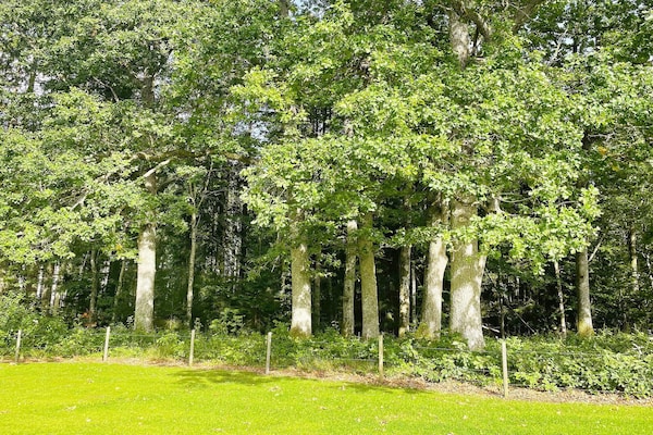 Foto van 6 persoons vakantie huis in Brålanda-By Traum - Vakantiehuis in Brålanda - Untagged