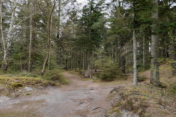 Foto van 6 persoons vakantie huis in Henne - Vakantiehuis in Henne - Untagged