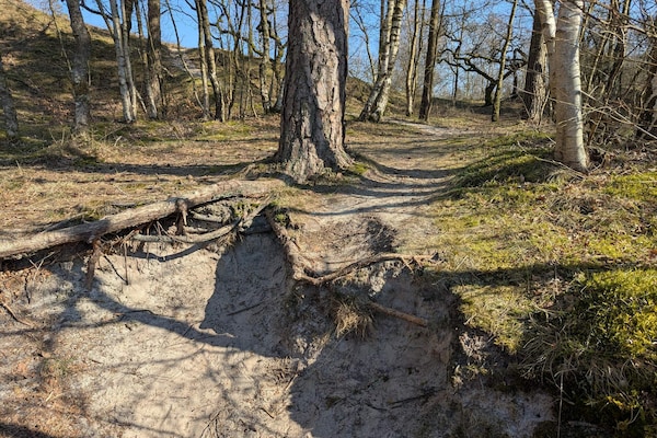 Foto van 6 persoons vakantie huis in Henne - Vakantiehuis in Henne - Untagged