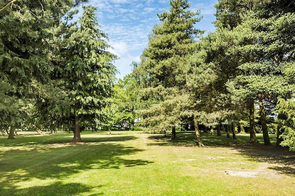 Foto van 14 persoons vakantie huis in Rønne-By Traum - Vakantiehuis in Rønne - Outdoor