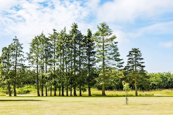 Foto van 14 persoons vakantie huis in Rønne-By Traum - Vakantiehuis in Rønne - Outdoor