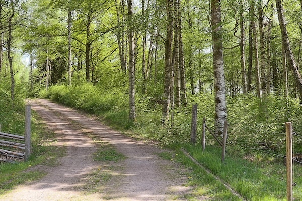 Foto van 7 persoons vakantie huis in LåNGARYD-By Traum - Vakantiehuis in LåNGARYD - Untagged