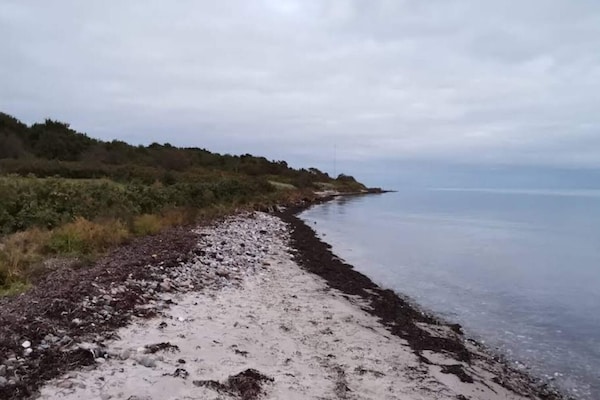 Foto van Luxe vakantieverblijf in Kegnaes - Vakantiehuis in Sydals - WaterView