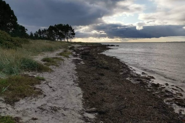 Foto van Luxe vakantieverblijf in Kegnaes - Vakantiehuis in Sydals - WaterView
