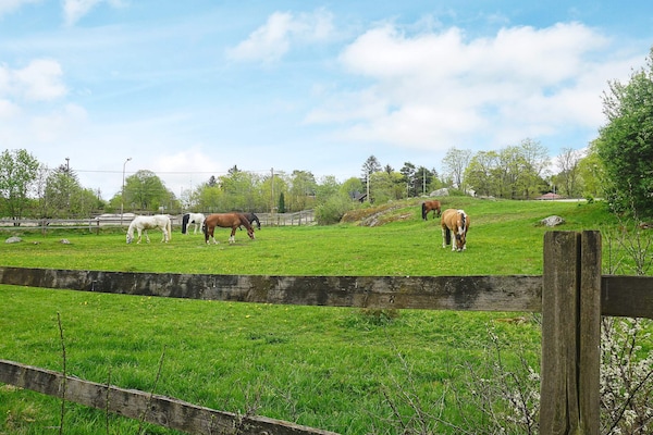 Foto van 7 persoons vakantie huis in Djursholm-By Traum - Vakantiehuis in Djursholm - Untagged