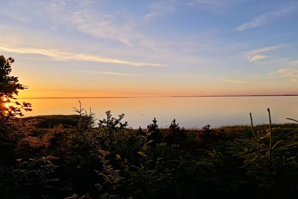 Foto van 6 persoons vakantie huis in Ulfborg-By Traum - Vakantiehuis in Ulfborg - WaterView