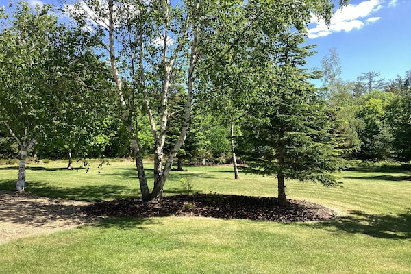 Foto van 7 persoons vakantie huis in Højslev-By Traum - Vakantiehuis in Højslev - Outdoor