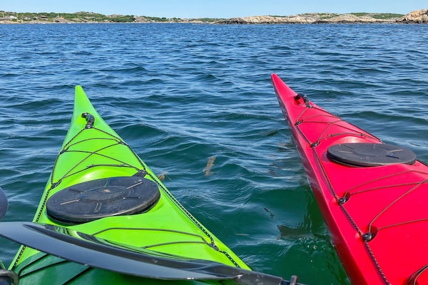 Foto van 8 persoons vakantie huis in BRäNNö-By Traum - Vakantiehuis in BRäNNö - Untagged