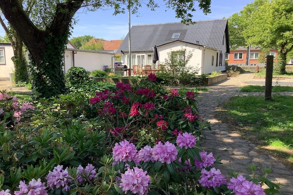 Foto van 6 persoons vakantie huis in Thisted-By Traum - Vakantiehuis in Thisted - Indoor
